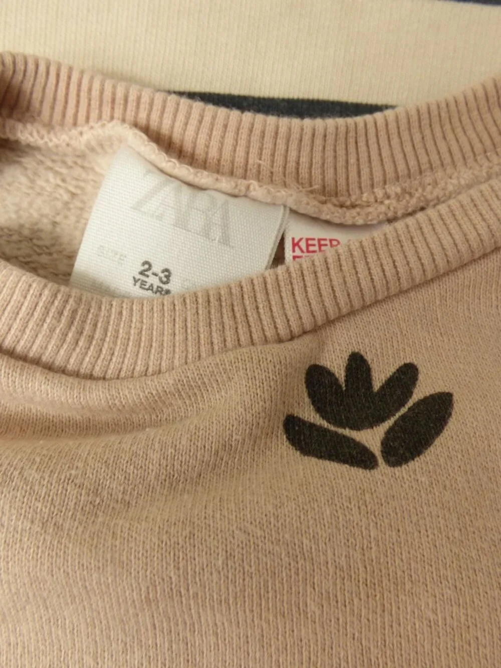 ZARA Toddler Crewneck & Jogger Set, Size 2-3 Years